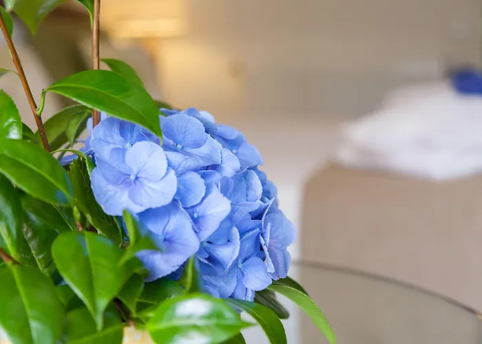 Hotel Sao Miguel Park 4*