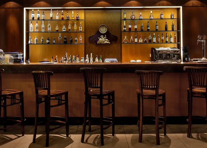 Sao Miguel Park Hotel 4*